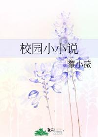 敢死队3中文版