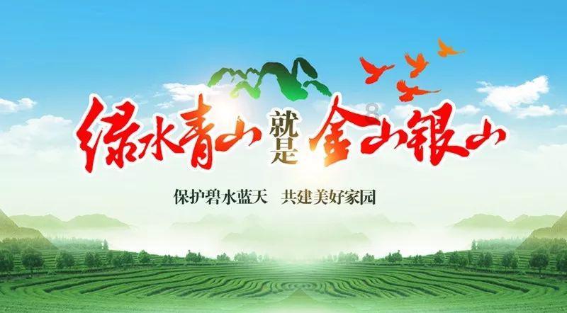 潮汕“天价”海鲜,不能人工饲养,想吃全靠运气!
